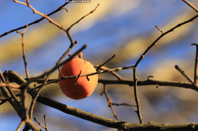 Captura de pantalla 2014-12-19 a la(s) 10.28.26