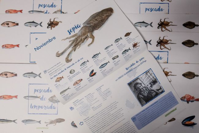 calendario greenpeace de pescado, imagen de una sepia